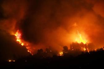 Berdoa untuk Amazonia